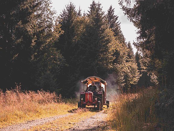 Traktor mit Planwagen im Wald