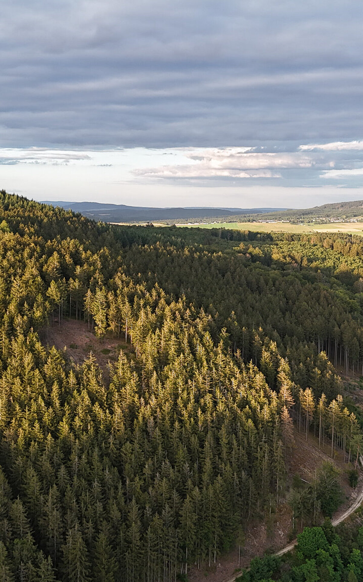 Luftaufnahme des Hotels das Marienhöh mit Chalets, eingebettet in die Frühlingslandschaft des Hunsrück-Nationalparks