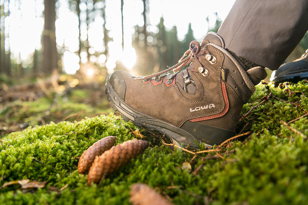 Wanderschuh auf Wiese im Wald
