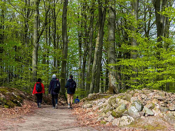 Wandergruppe im Wald