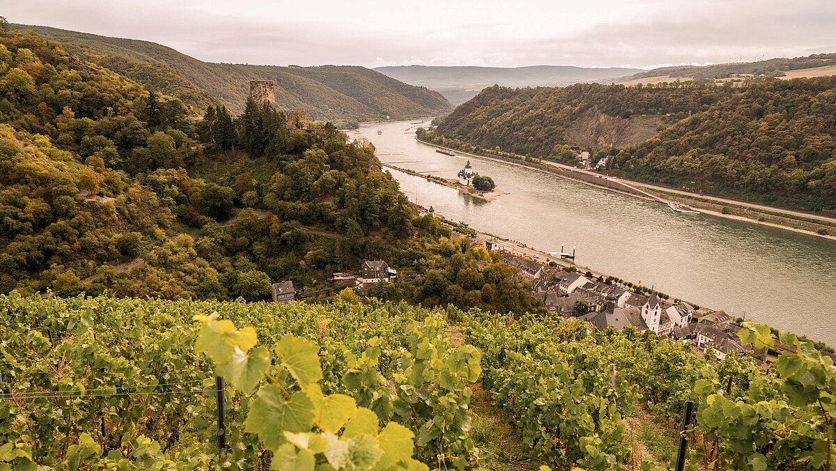 Weinberge und er Rhein