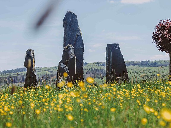 Felsformation auf bluehender Wiese