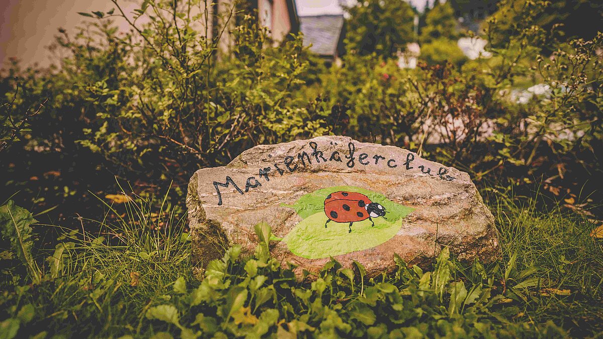 Stein mit Marienkaefer-Bild auf der Wiese