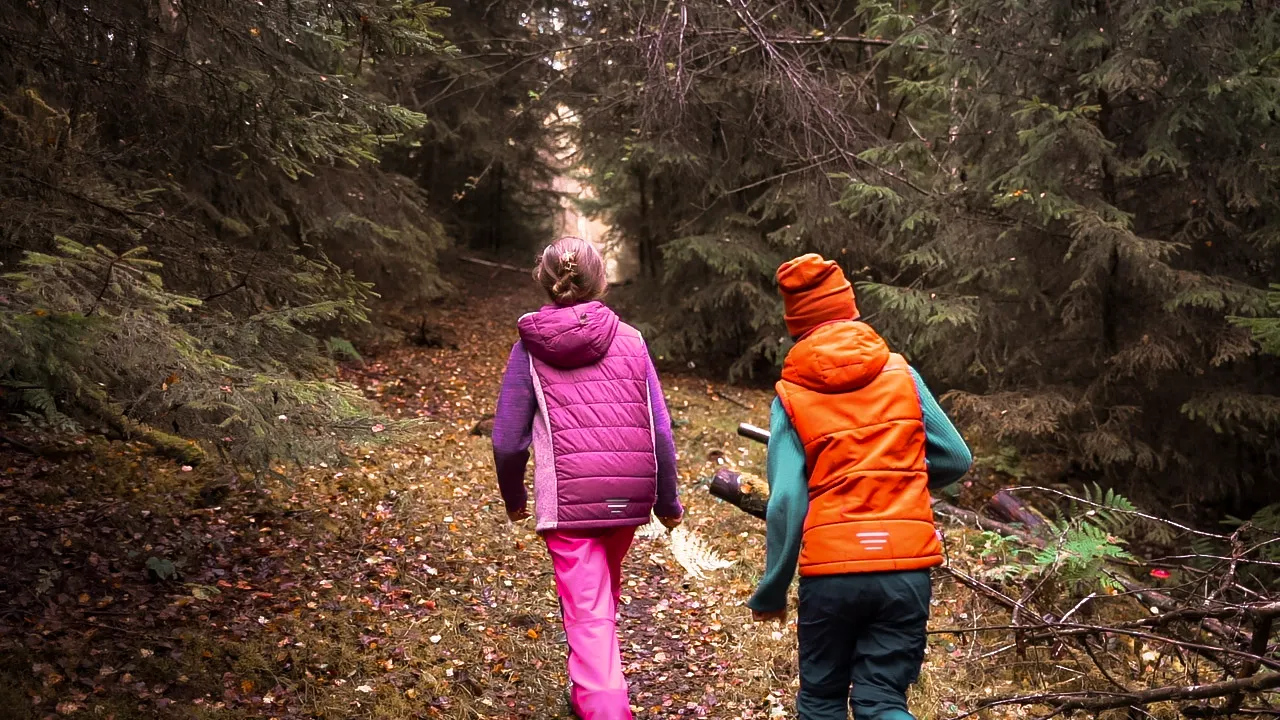 Kinder auf Entdeckungstour im Wald am Nationalpark Hunsrück-Hochwald