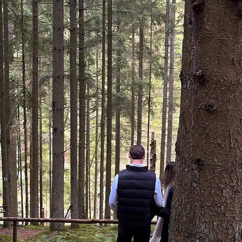 Manchmal reicht ein Spaziergang zwischen den Tannen, um festzustellen, dass man gerade eigentlich nirgendwo anders sein...