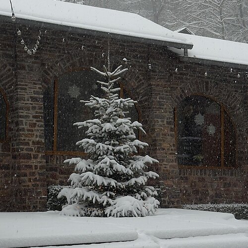 Der Schnee hat beschlossen, noch ein bisschen zu bleiben. Nicht für immer, aber offenbar mindestens bis zum...