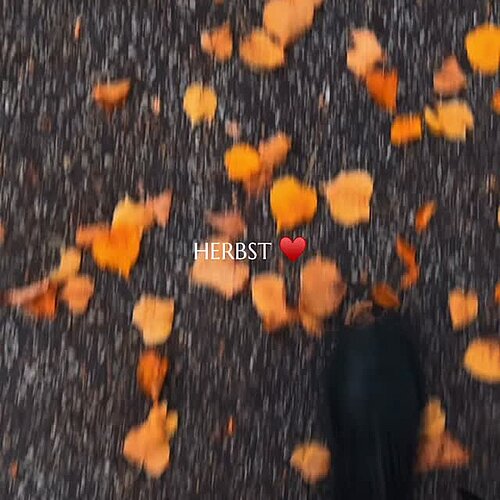 Der Herbst zeigt sich von seiner schönsten Seite – goldenes Licht, frische Luft und dieses Gefühl, dass die Zeit hier...