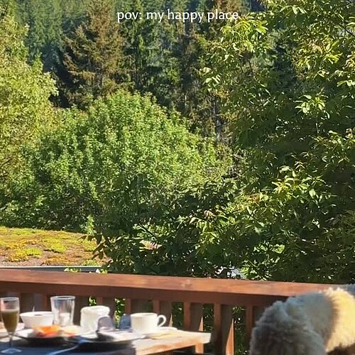 Dein Happy Place liegt im Hunsrück.
Wer ihn kennt, kommt immer wieder.
#Marienhöh #HappyPlace #HunsrückUrlaub #Hideaway... Dein Happy Place liegt im Hunsrück.
Wer ihn kennt, kommt immer wieder.
#Marienhöh #HappyPlace #HunsrückUrlaub #Hideaway...